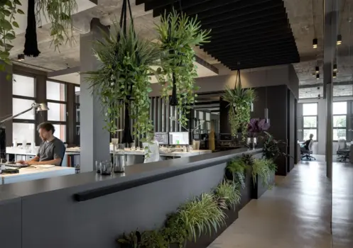 office jungle unchained