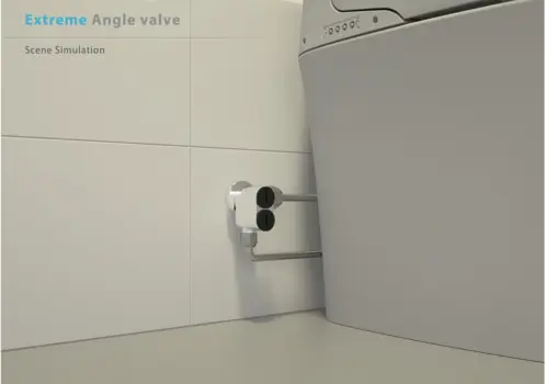 Extreme Angle valve