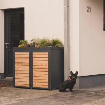 MEISTERBOX Forst