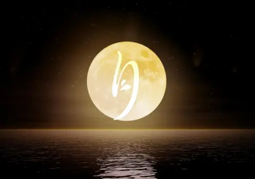 Moon Fairy