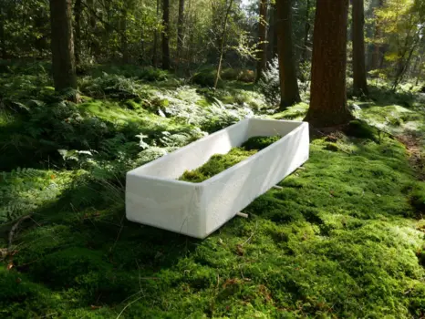 Living Coffin