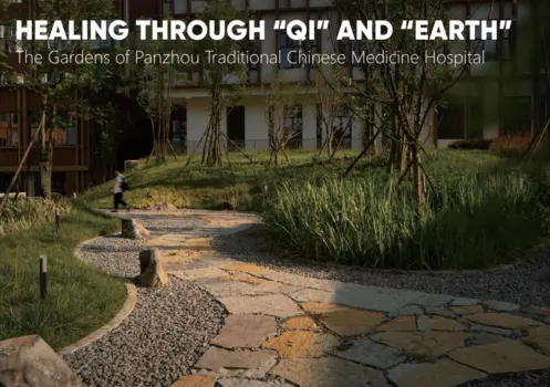 Healing Through “Qi” and “Earth”: The Gardens of Panzhou Traditional Chinese Medicine Hospital