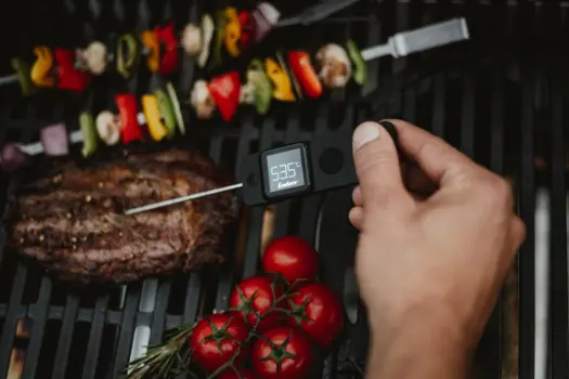 Premium Einstech-Thermometer