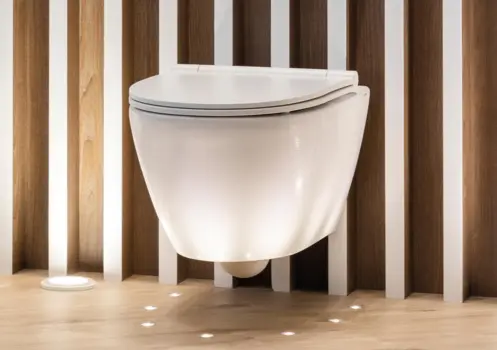Sanlife Textured toilet