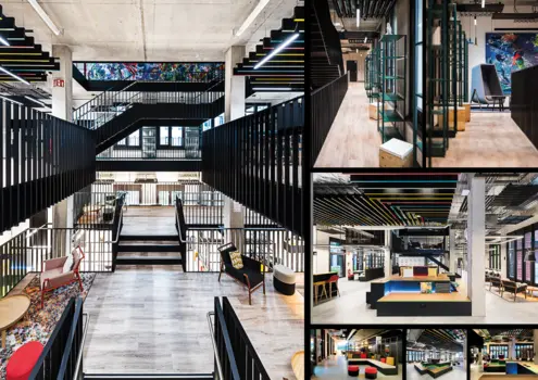 MSD -Transforming into New Work