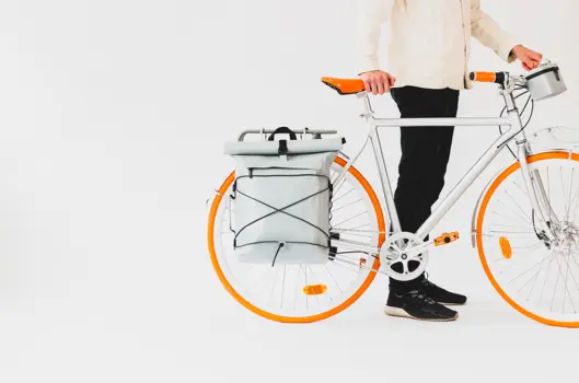 Pannier Rolltop 22L