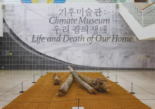 Graphic Design for Climate Museum