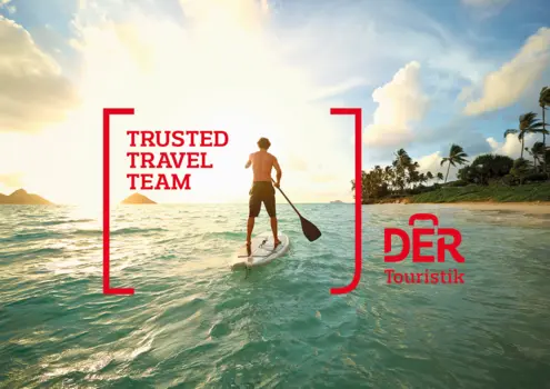 Trusted Travel Team