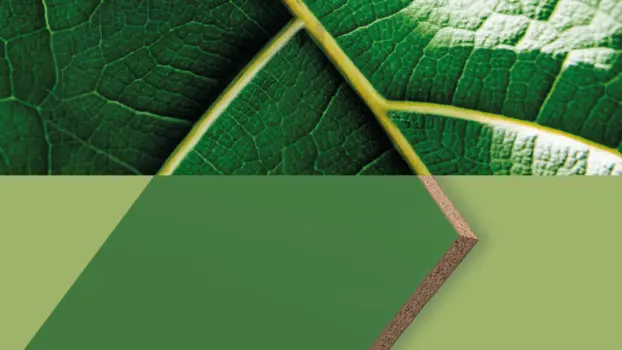 ORGANICBOARD