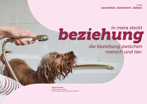 mera – verstehen. kümmern. lieben.