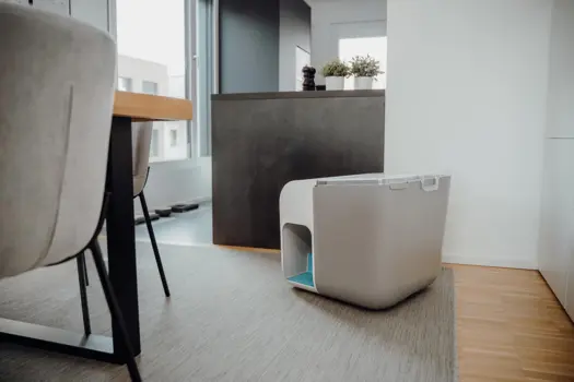 Cloou - die sauber durchdachte Katzentoilette