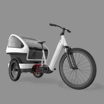 LIMOTEC Trike Cargo multi-platform Ebike