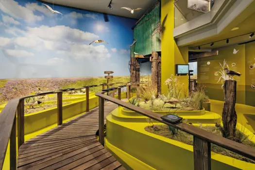 UNESCO-Weltnaturerbe Wattenmeer Besucherzentrum Wilhelmshaven