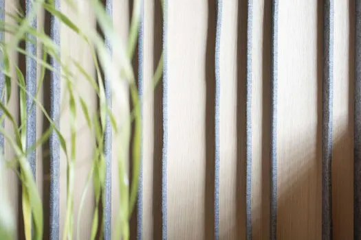 Woodface® Acoustic