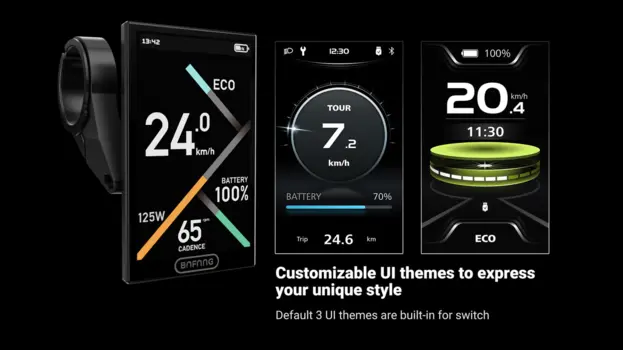 Display DP C010