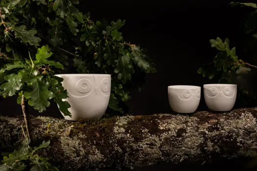 Flower Pot