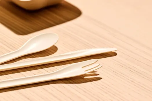 Pressed Board Paper Cutlery