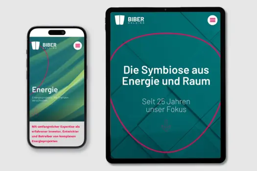 Website für Biber Holding