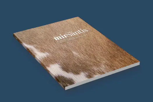 Saentis - The Magazine