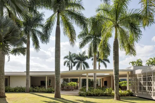 Palm Trees House