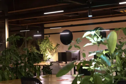 ODD Office