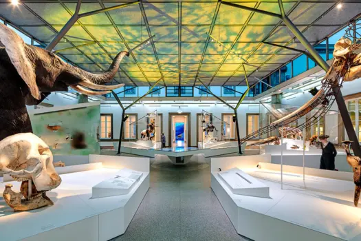 Ocean Hall: “Immersing in Diversity” and Evolution Hall: “Evolution Creates Diversity”