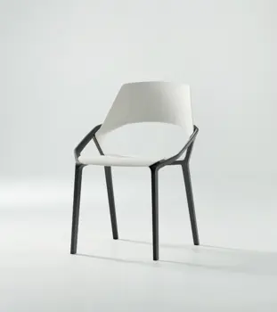 Mr. AUER Chair