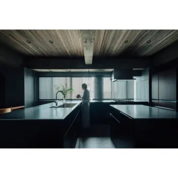 Gray Syncretic House