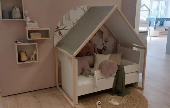 Little PAIDI House
