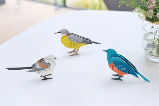 Birds