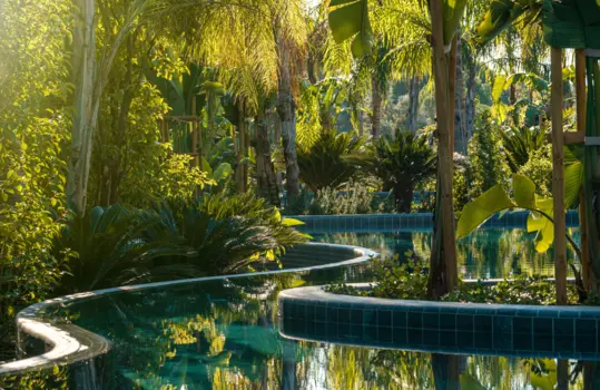 Bayou Villas Landscape Design