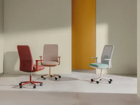 Velo Chair