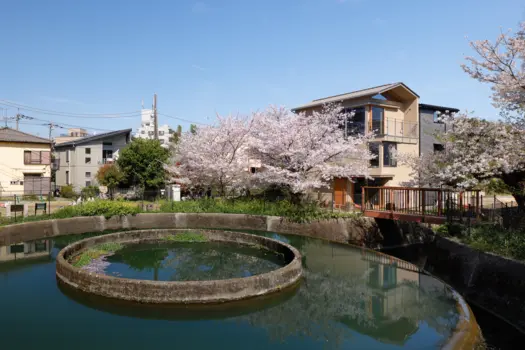 A House Living with a Cylindrical Water Divider