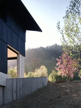 Schüpfheim Haus auf Scheiben