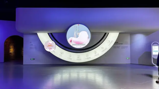 The Human Body Systems Kinetic Art Installation