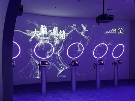 Brain and Emotion Immersive Art Experience