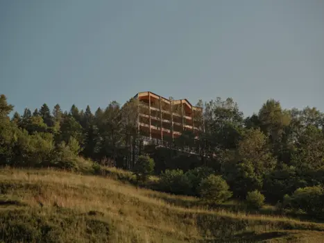 Engel Ayurpura